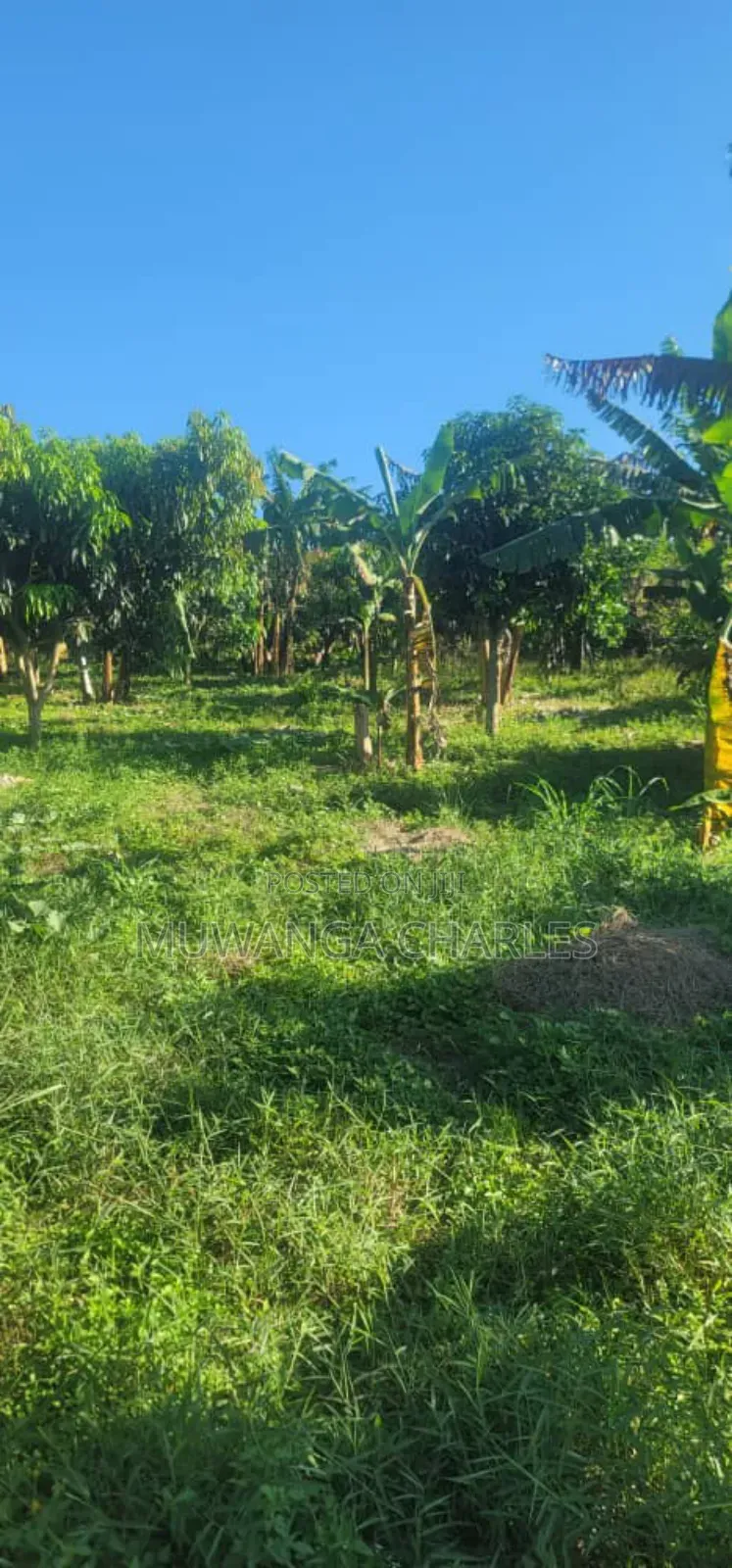 Land on Sale in Zirobwe in Zirobwe