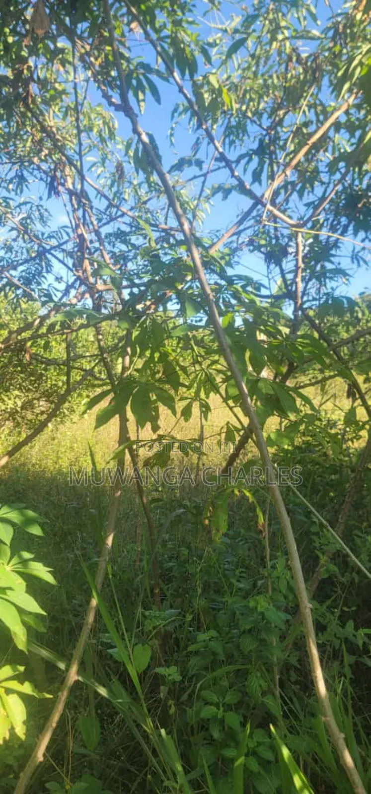 Land on Sale in Zirobwe in Zirobwe