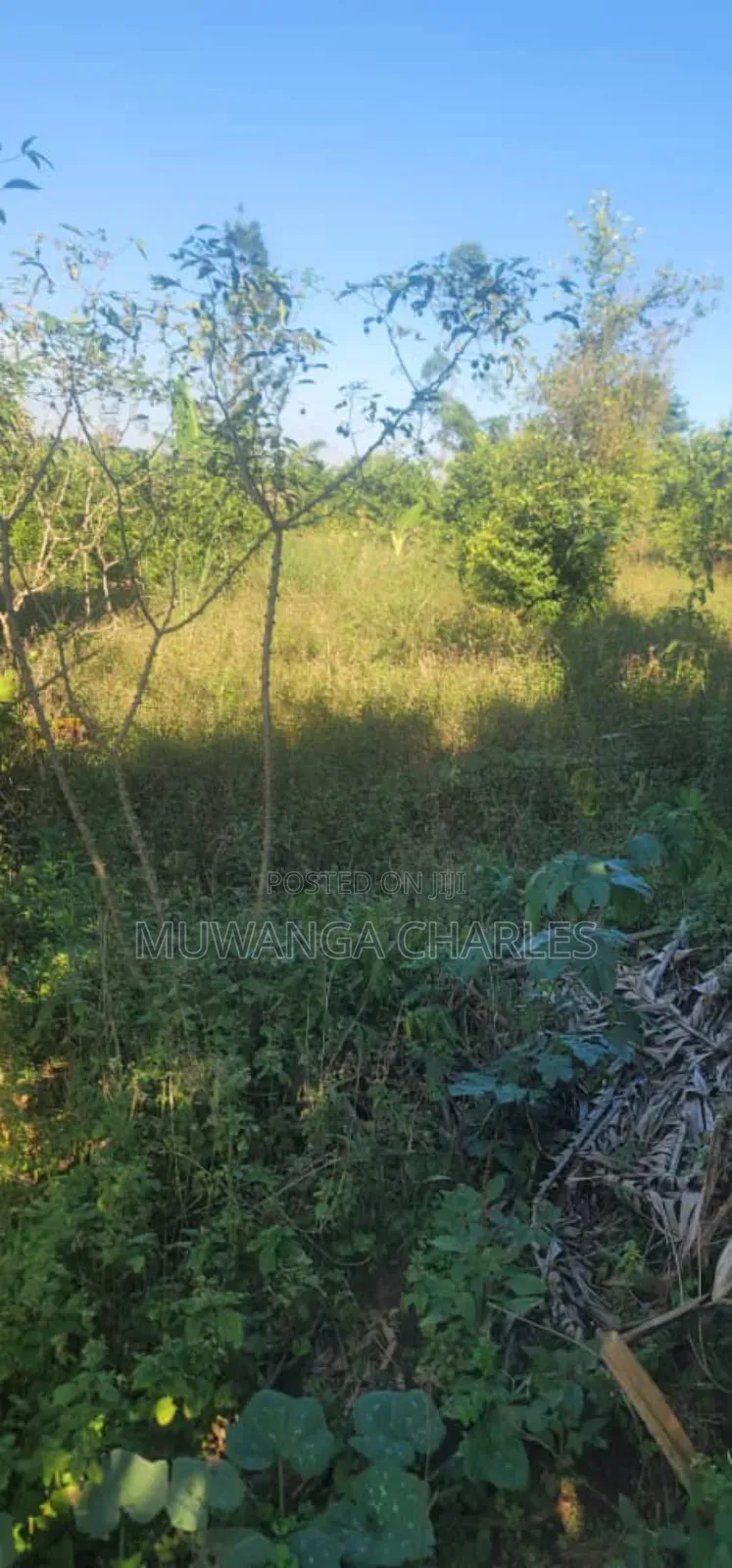 Land on Sale in Zirobwe in Zirobwe