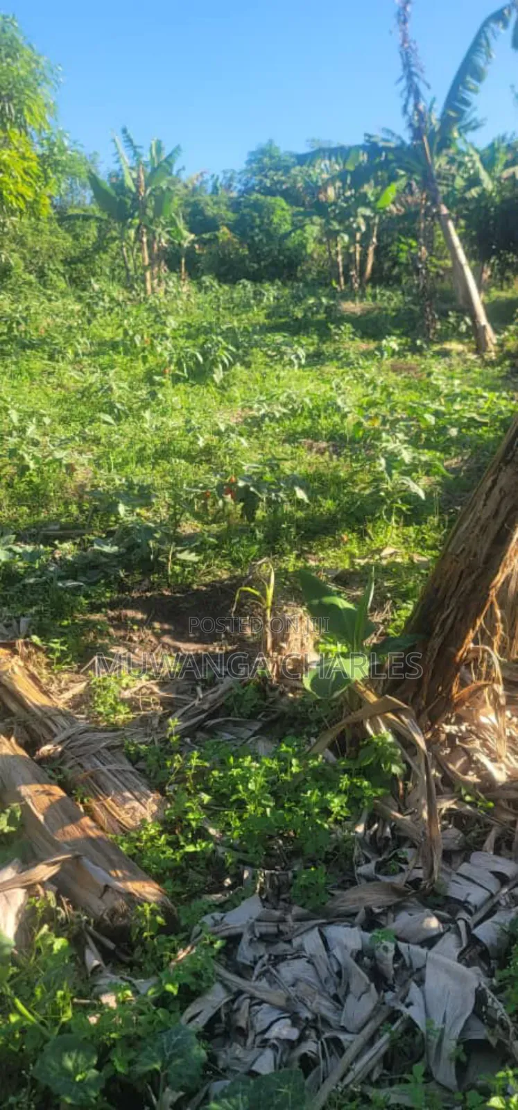 Land on Sale in Zirobwe in Zirobwe