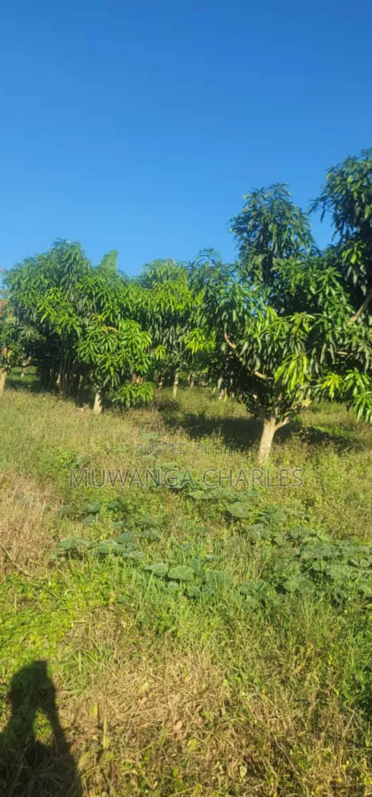 Land on Sale in Zirobwe in Zirobwe