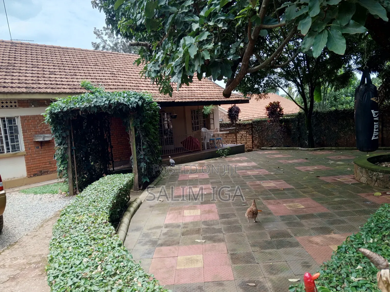 3bdrm Bungalow in Kololo Property, Central Division for rent in Central Division
