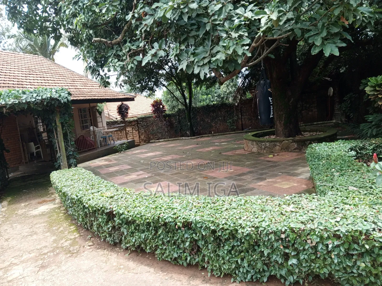 3bdrm Bungalow in Kololo Property, Central Division for rent in Central Division