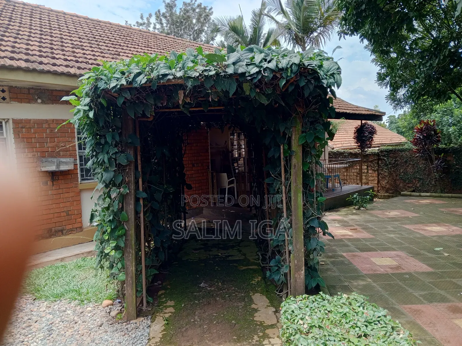 3bdrm Bungalow in Kololo Property, Central Division for rent in Central Division