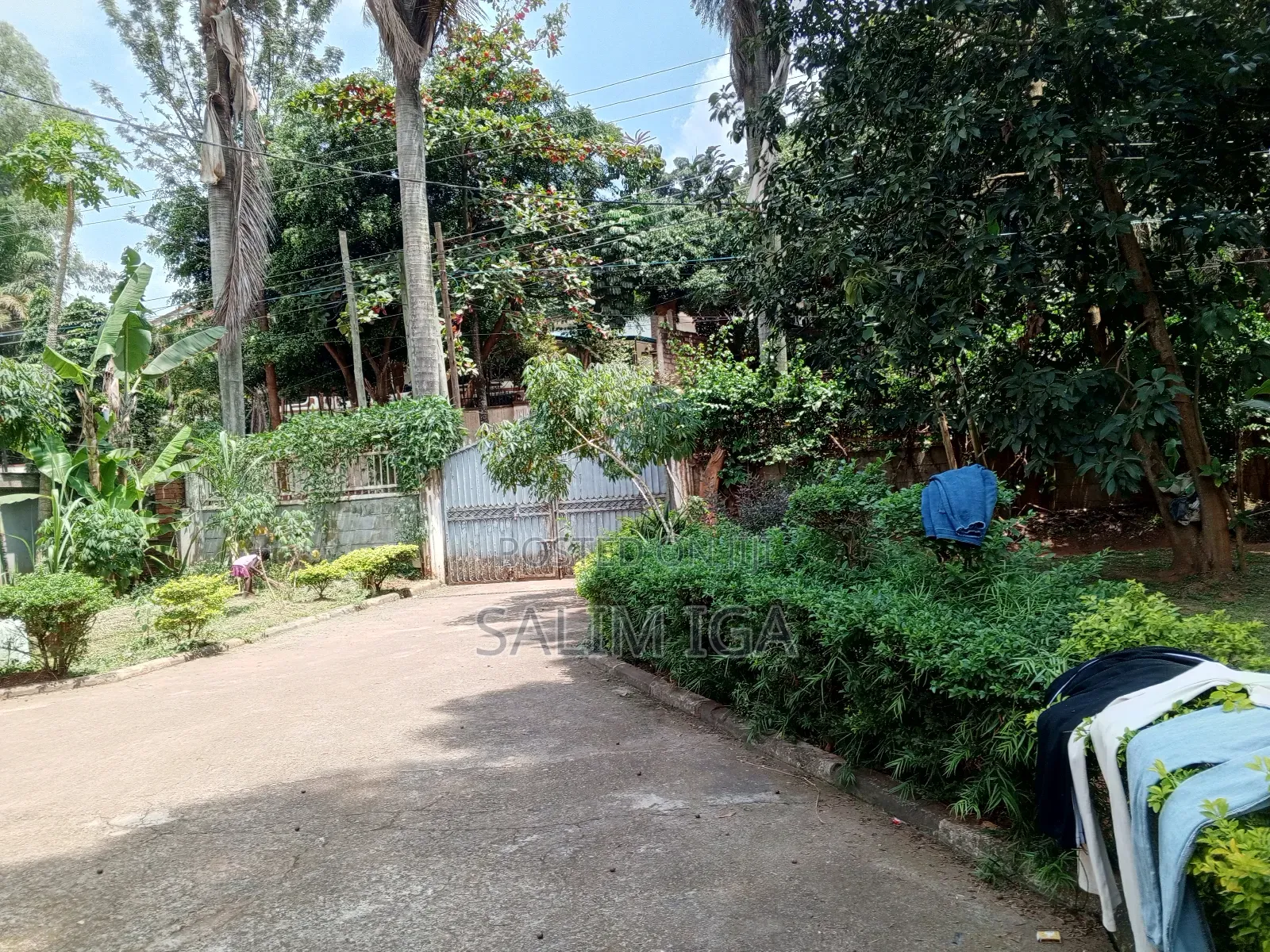 3bdrm Bungalow in Kololo Property, Central Division for rent in Central Division