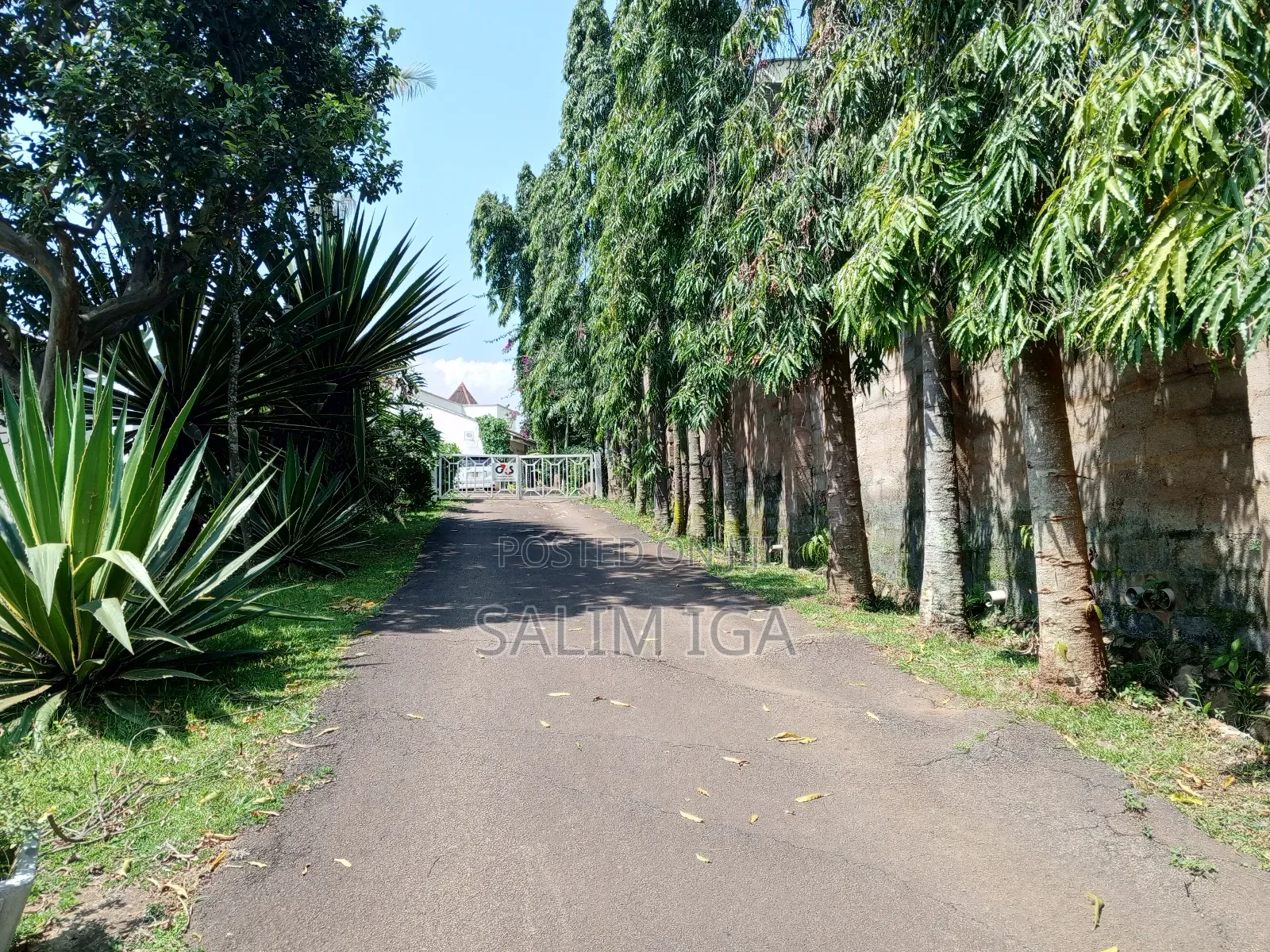 4bdrm Duplex in Kololo Property, Central Division for rent in Central Division