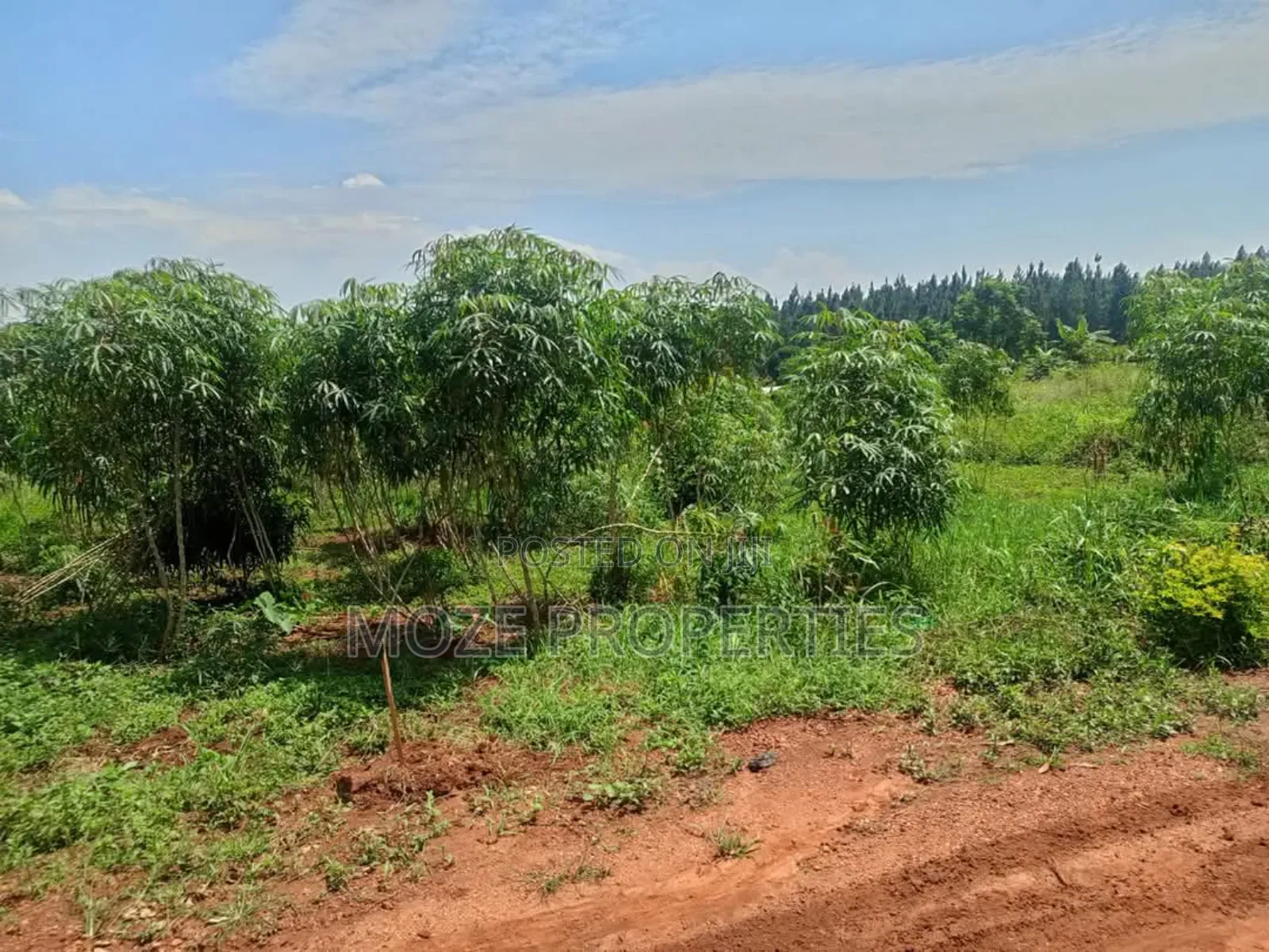 50by100 Plot for Sale in Nakasaja Gayaza in Central Division