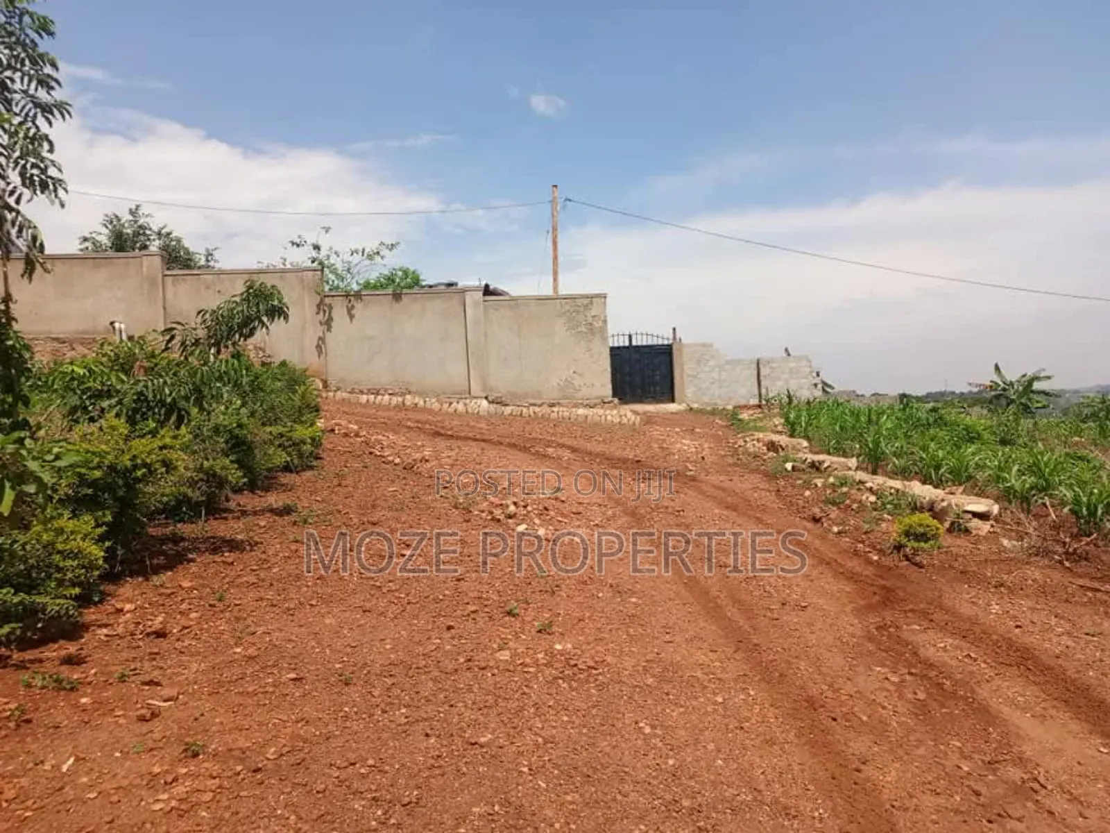 50by100 Plot for Sale in Nakasaja Gayaza in Central Division