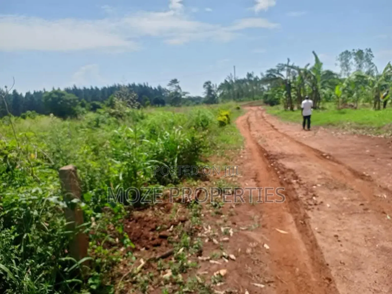 50by100 Plot for Sale in Nakasaja Gayaza in Central Division