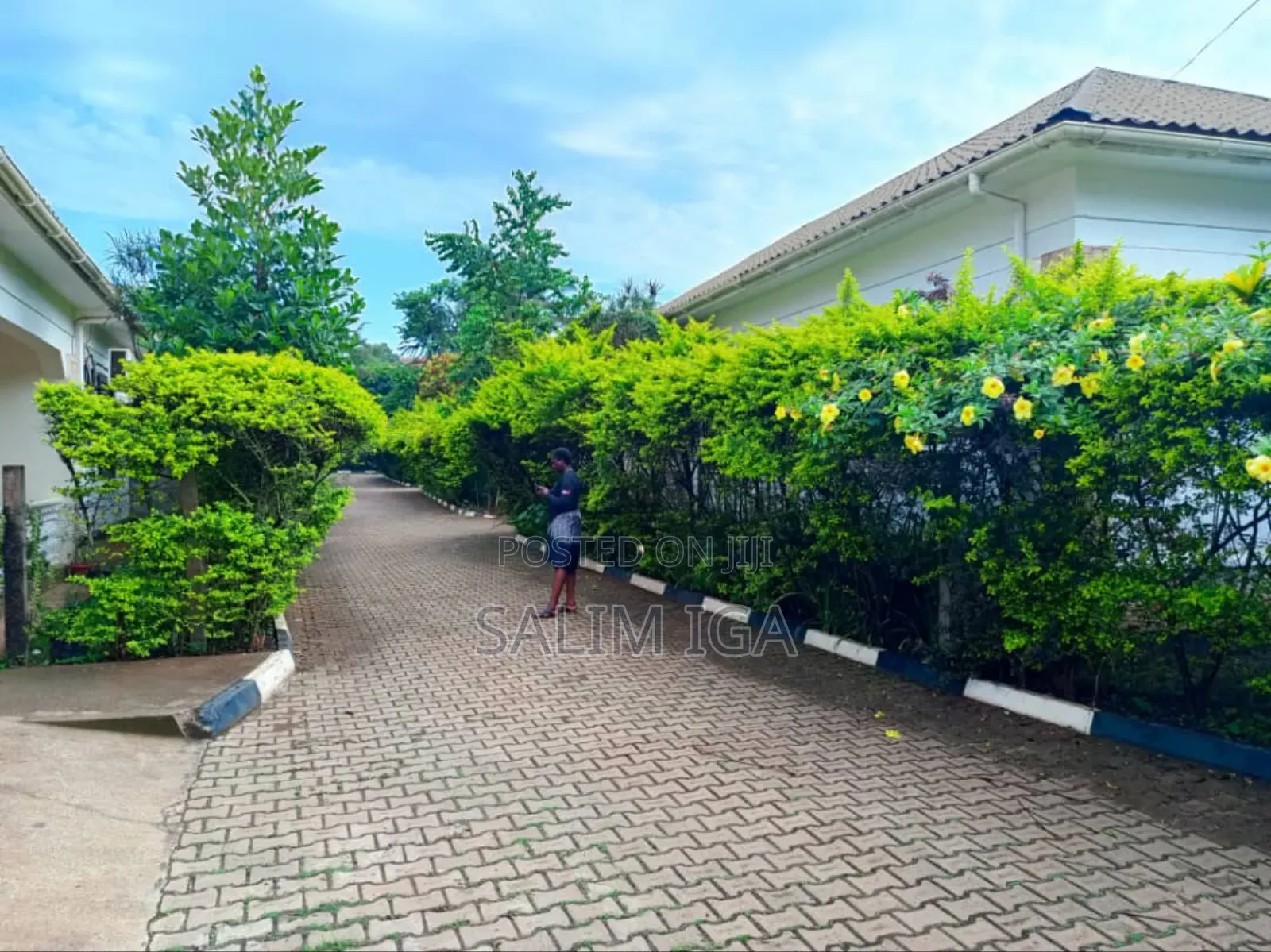 3bdrm Chalet in Kololo Property, Central Division for rent in Central Division
