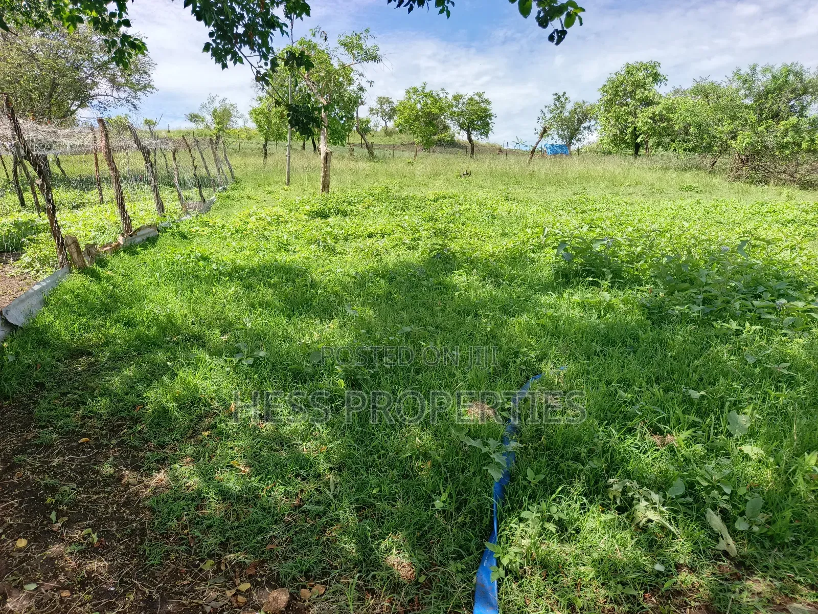 Farmland on Sale in Kyenjojo