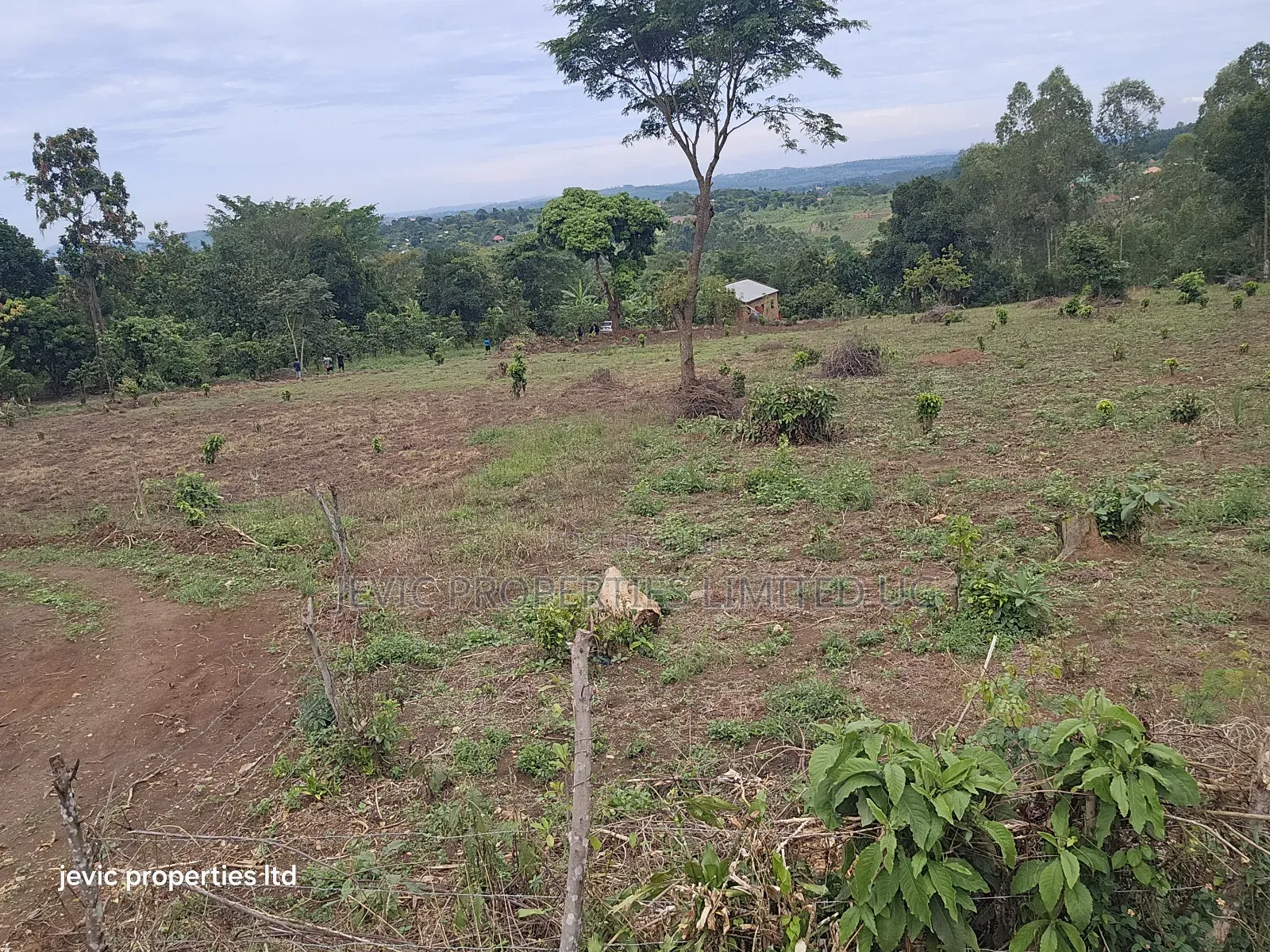 Hot Plots for Sale at Namayumba in Namayumba