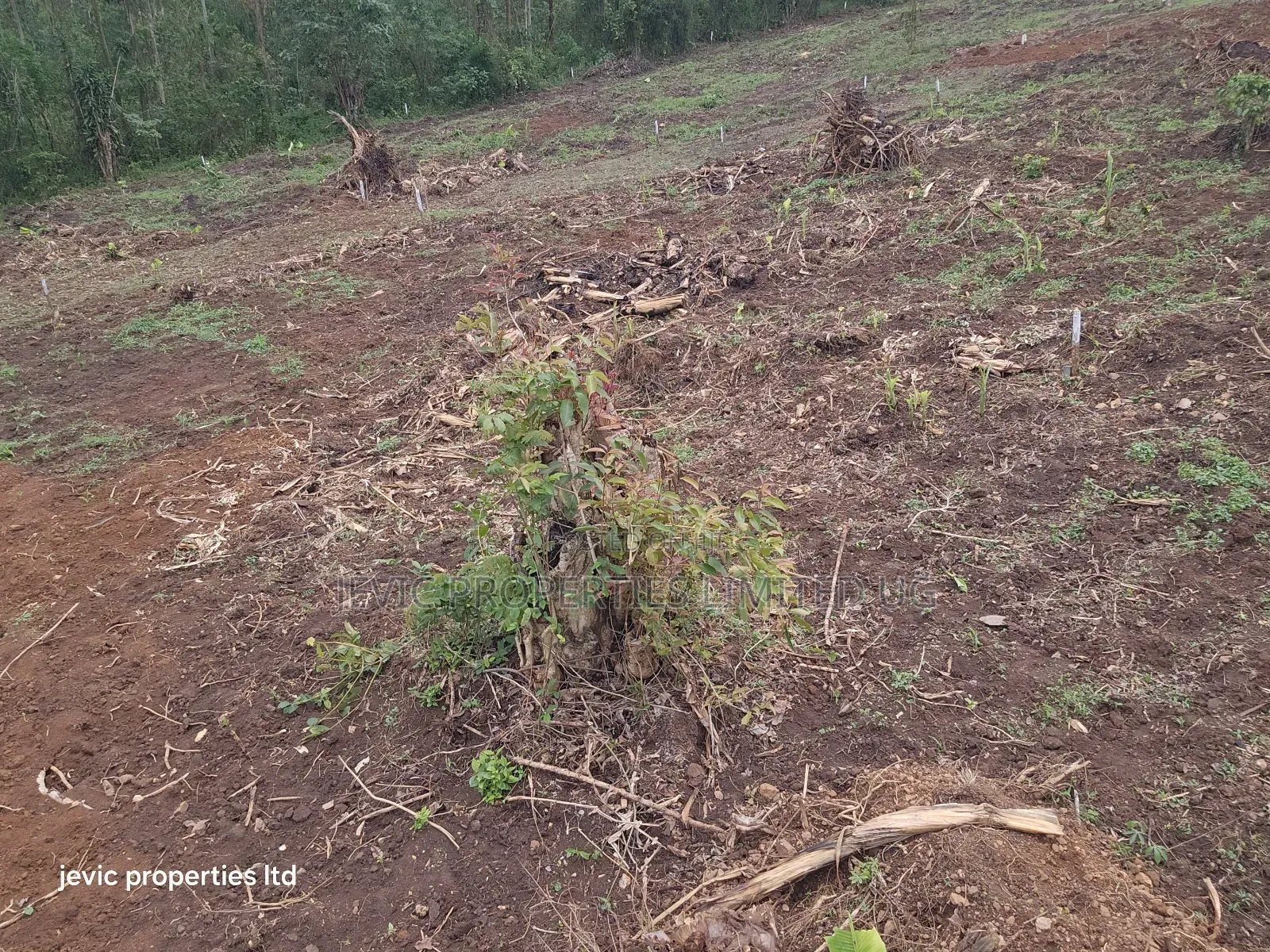 Hot Plots for Sale at Namayumba in Namayumba