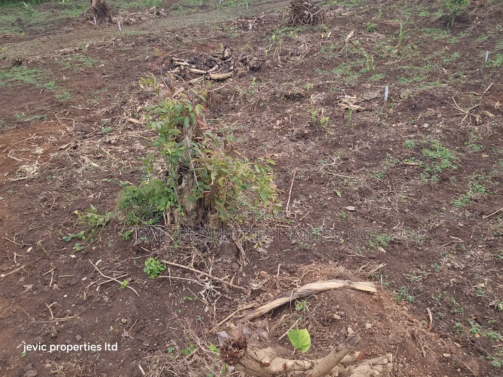 Hot Plots for Sale at Namayumba in Namayumba