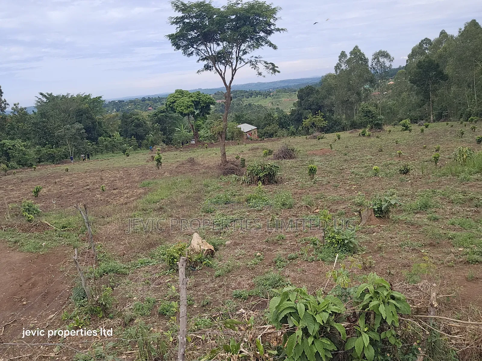 Hot Plots for Sale at Namayumba in Namayumba