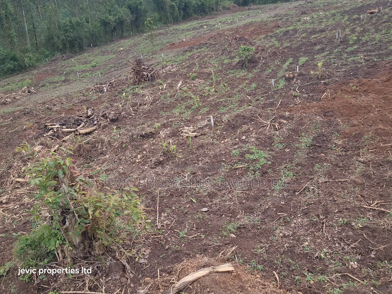 Hot Plots for Sale at Namayumba in Namayumba