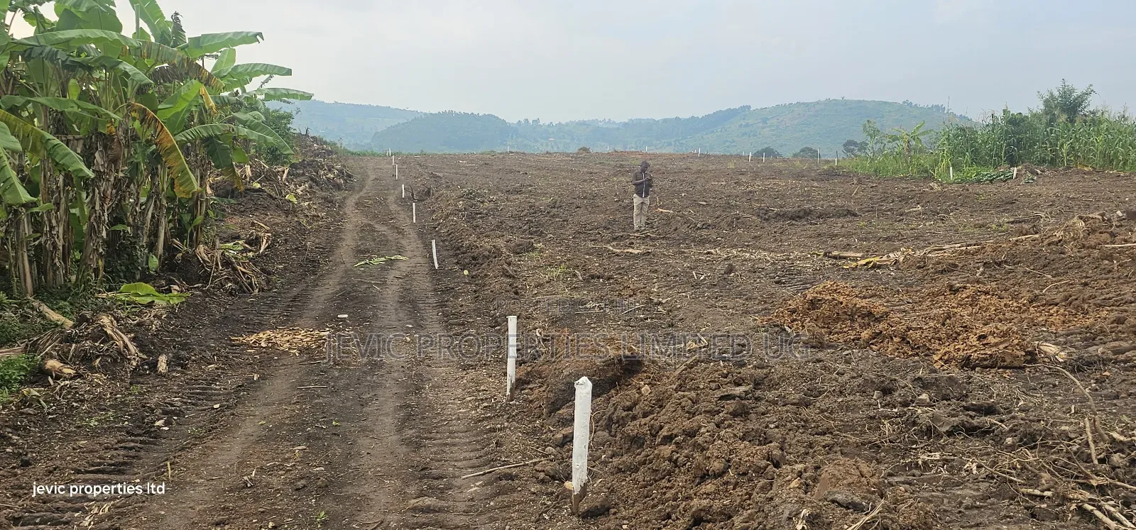 Wakiso Namayumba Plots Available for Sale 200 MTRS on Tamrac in Wakiso / Wakiso