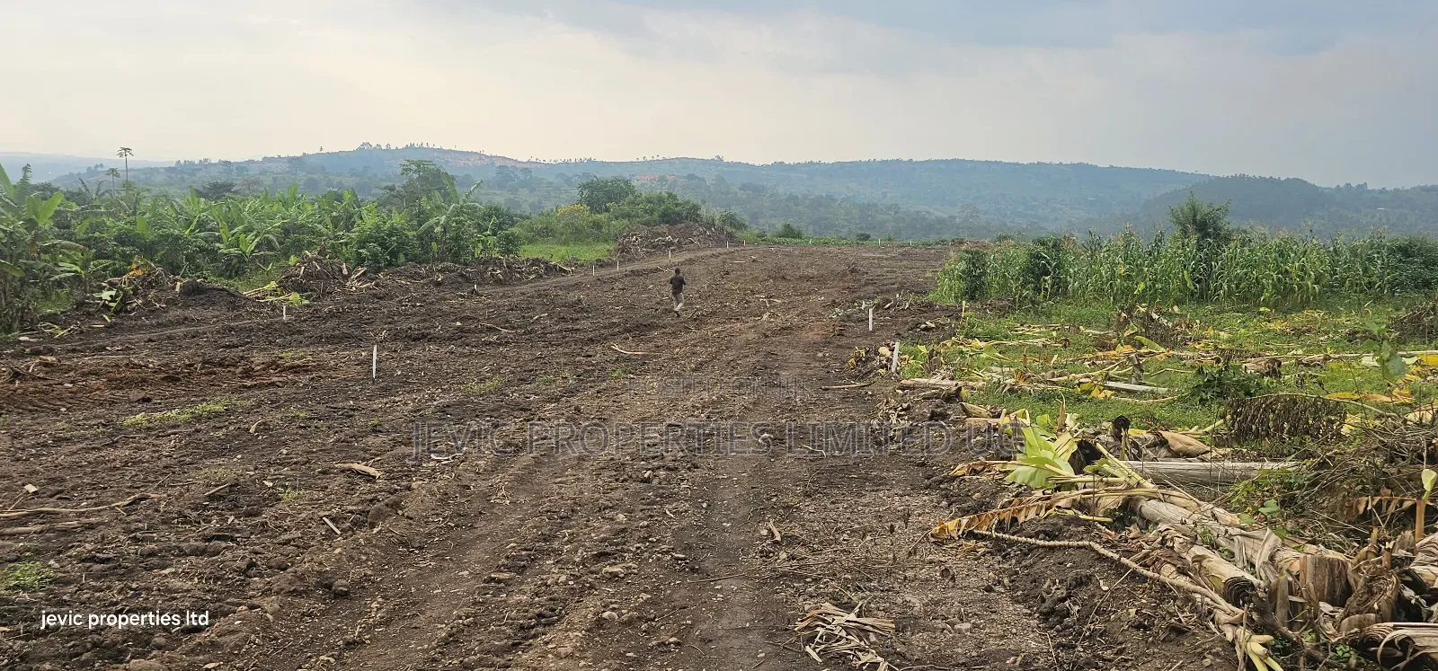 Wakiso Namayumba Plots Available for Sale 200 MTRS on Tamrac in Wakiso / Wakiso
