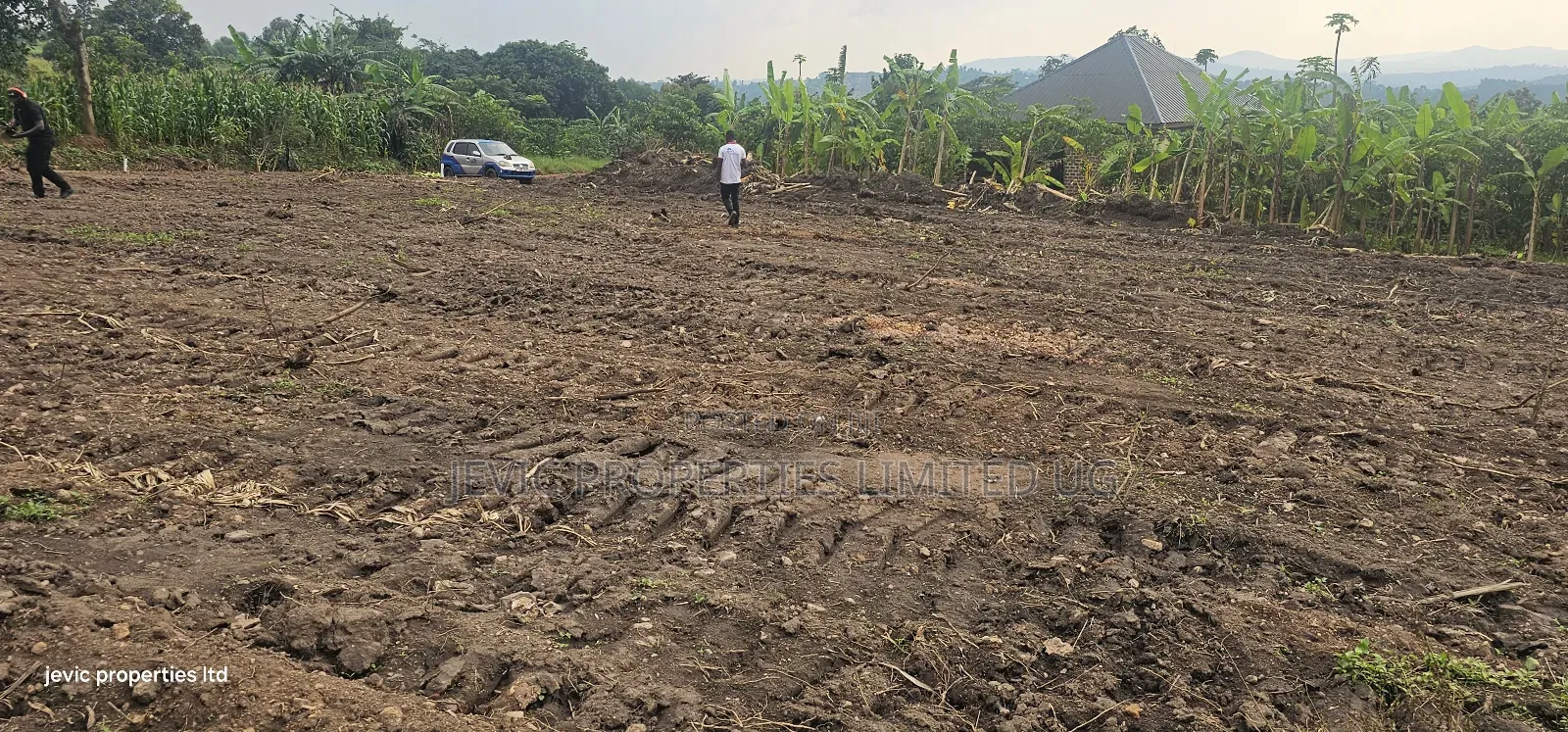 Wakiso Namayumba Plots Available for Sale 200 MTRS on Tamrac in Wakiso / Wakiso