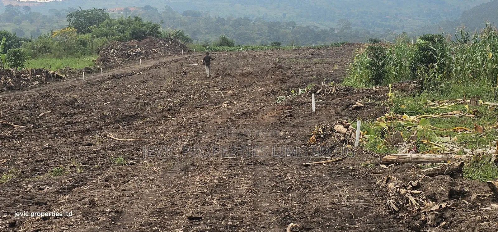 Wakiso Namayumba Plots Available for Sale 200 MTRS on Tamrac in Wakiso / Wakiso