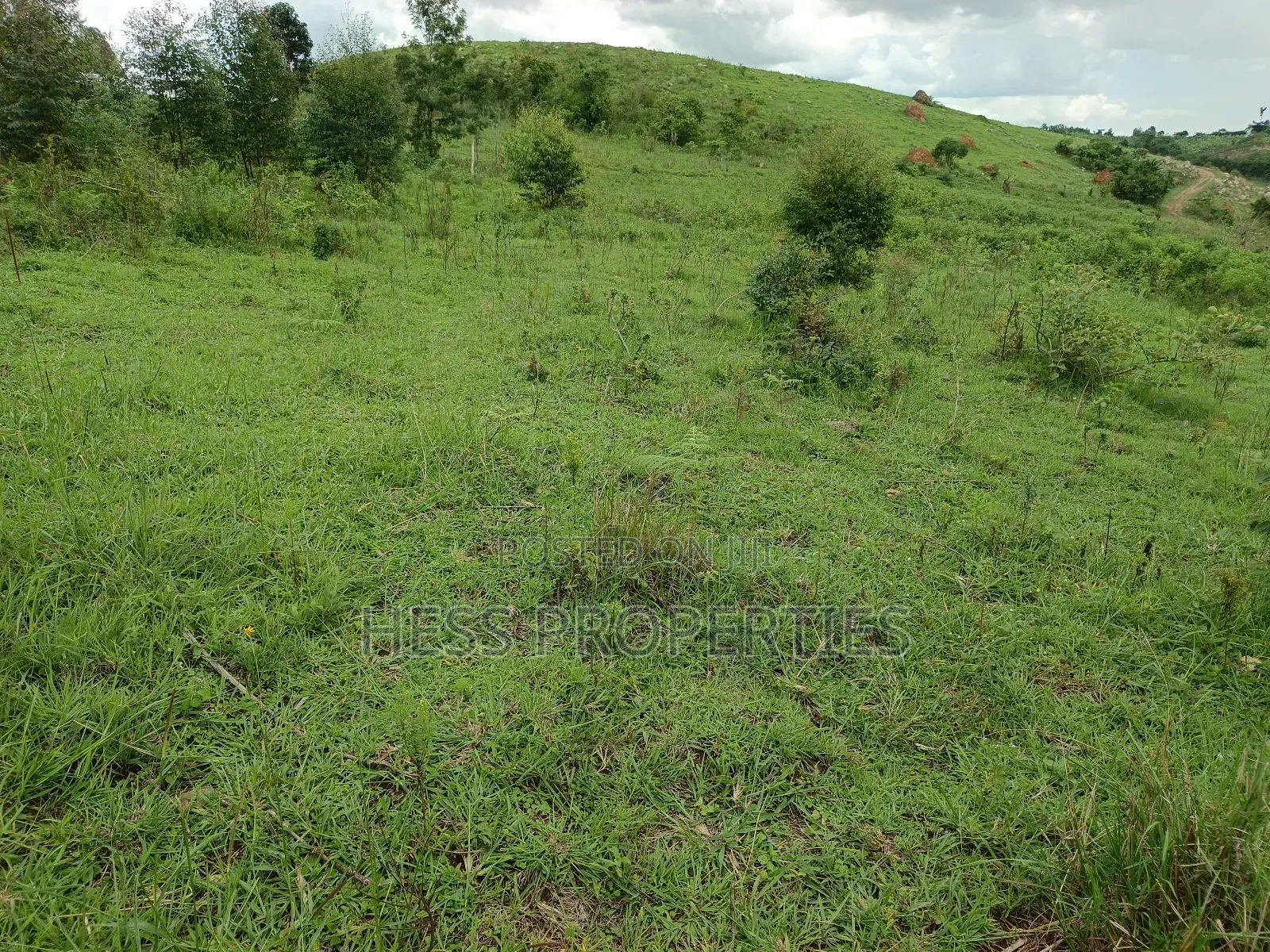18acres of Land on Sale Located in Bugaaki Sub County-Kasa in Kyenjojo
