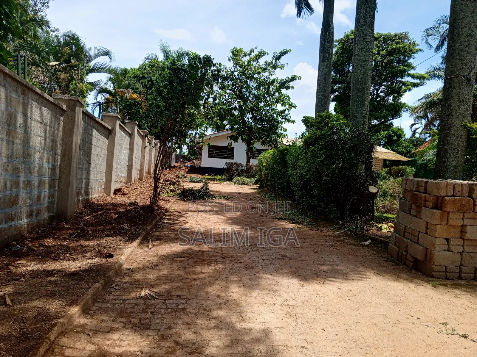 3bdrm Bungalow in Kololo Property, Central Division for rent in Central Division