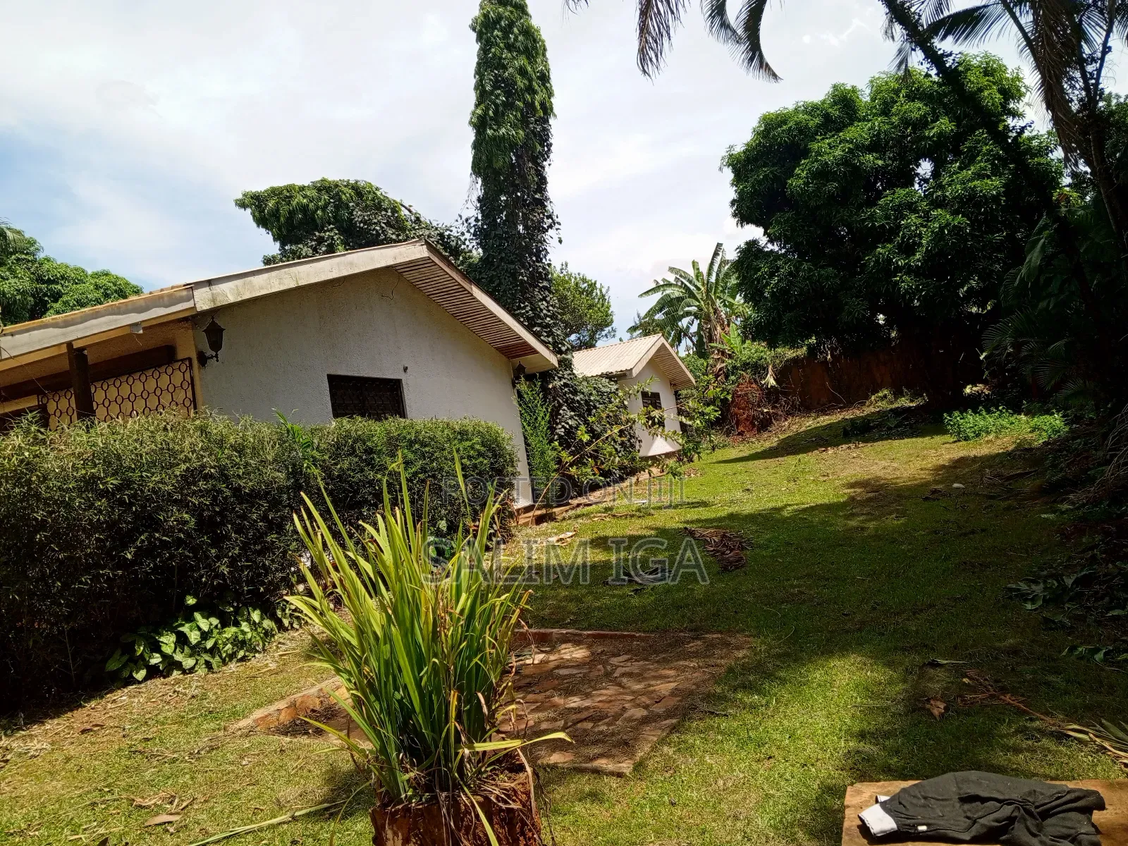 3bdrm Bungalow in Kololo Property, Central Division for rent in Central Division