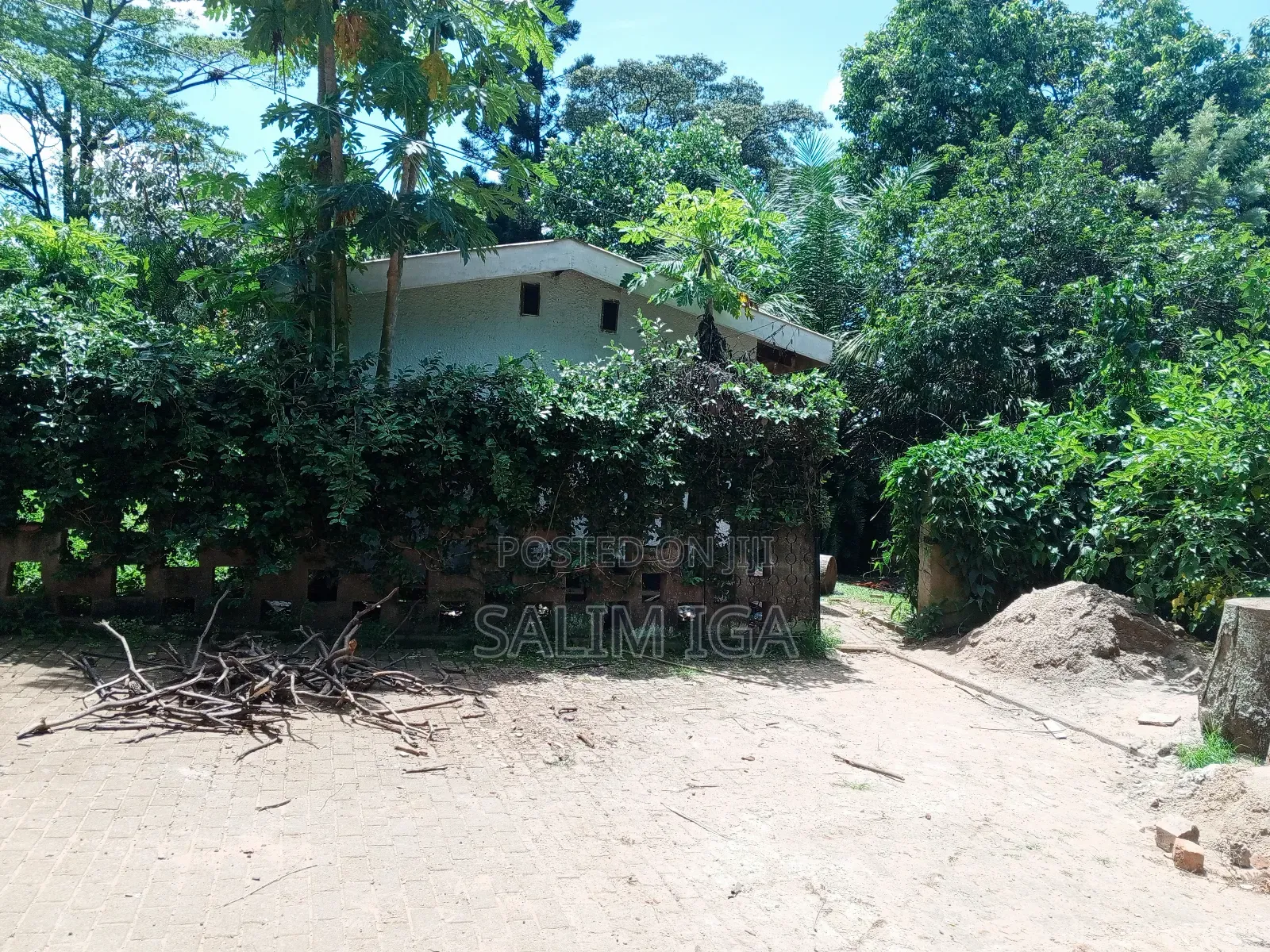 3bdrm Bungalow in Kololo Property, Central Division for rent in Central Division