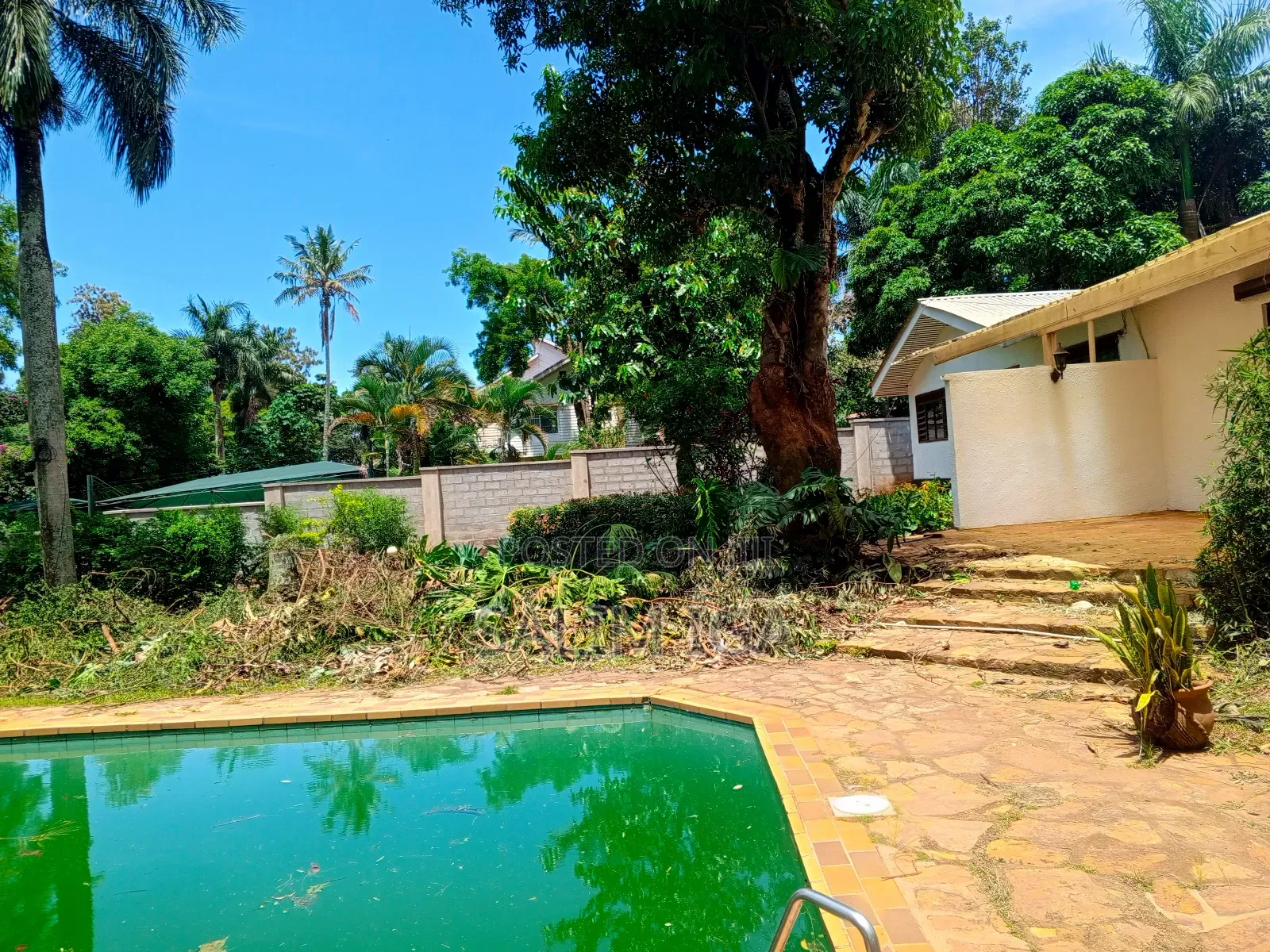 3bdrm Bungalow in Kololo Property, Central Division for rent in Central Division