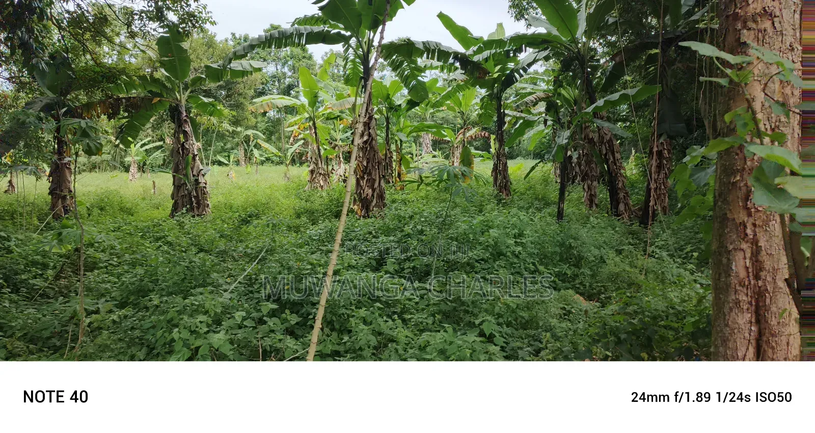 2acres of Land for Sale Seeta Namilyango in Mukono TC