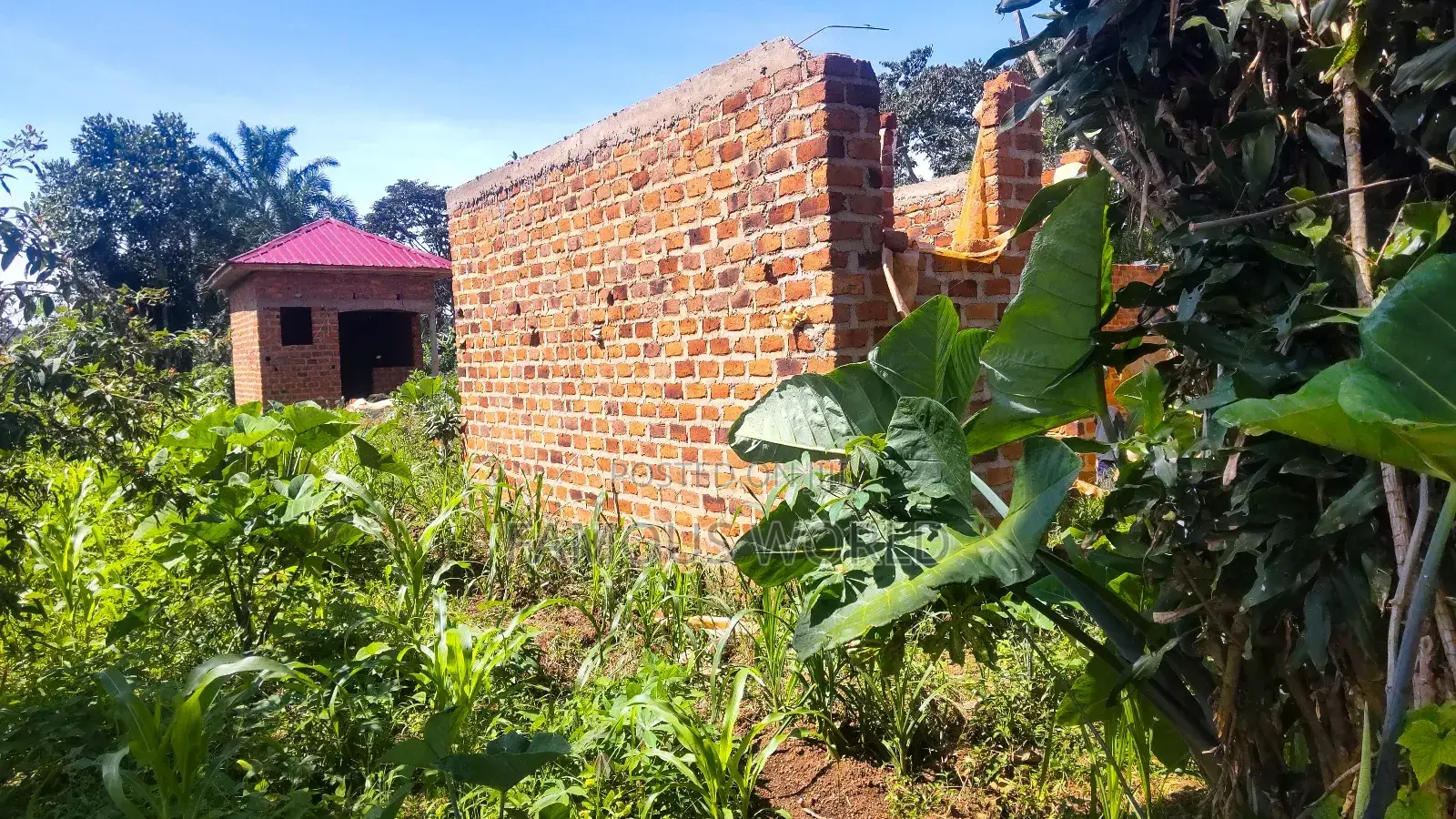 1bdrm Room & Parlour in Nkumba, Katabi for sale in Katabi