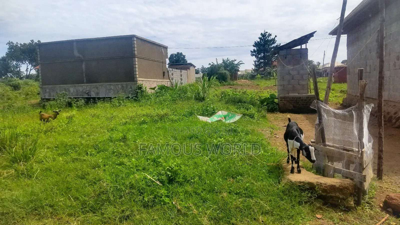Entebbe Nkumba 50ft by 40ft Plot on Sale in Katabi