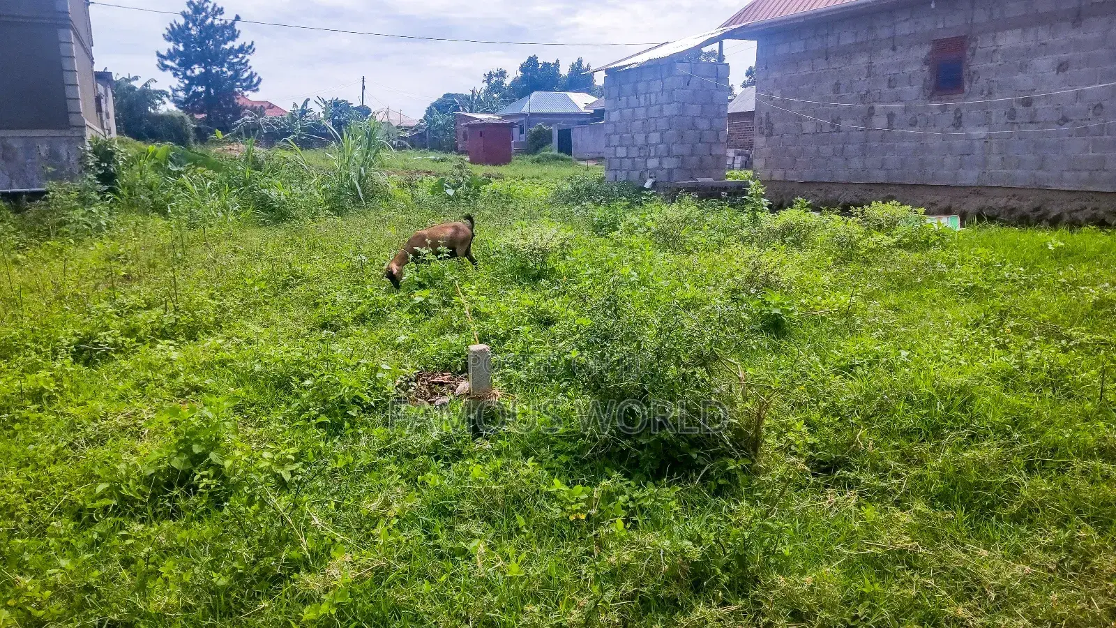 Entebbe Nkumba 50ft by 40ft Plot on Sale in Katabi