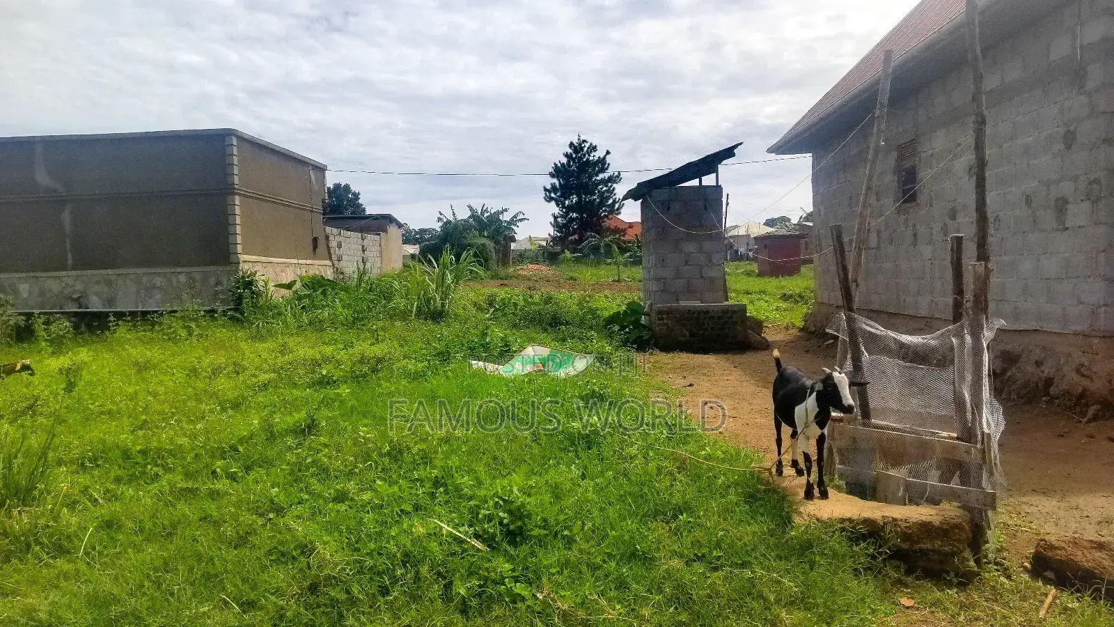 Entebbe Nkumba 50ft by 40ft Plot on Sale in Katabi
