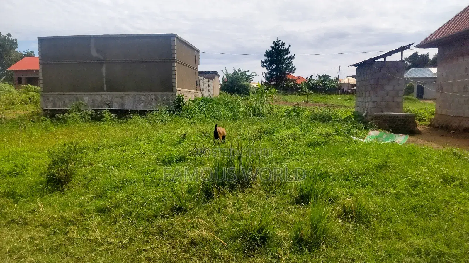 Entebbe Nkumba 50ft by 40ft Plot on Sale in Katabi