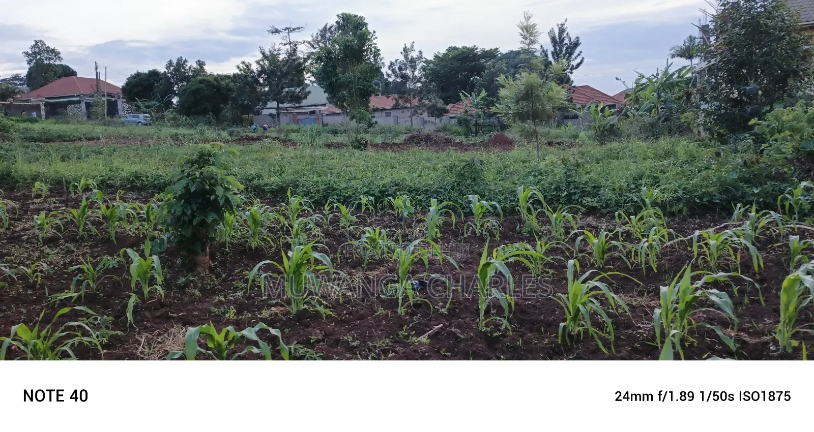 Plot for Sale in Kisaasi Kulambiro in Nakawa