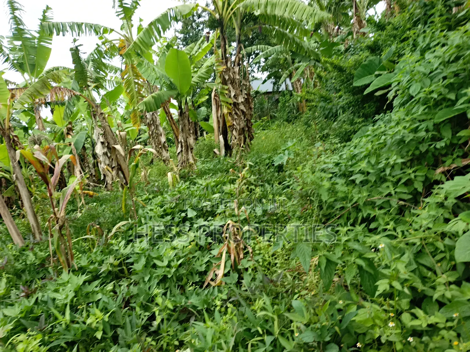 Residential Land on Sale in Kabalore
