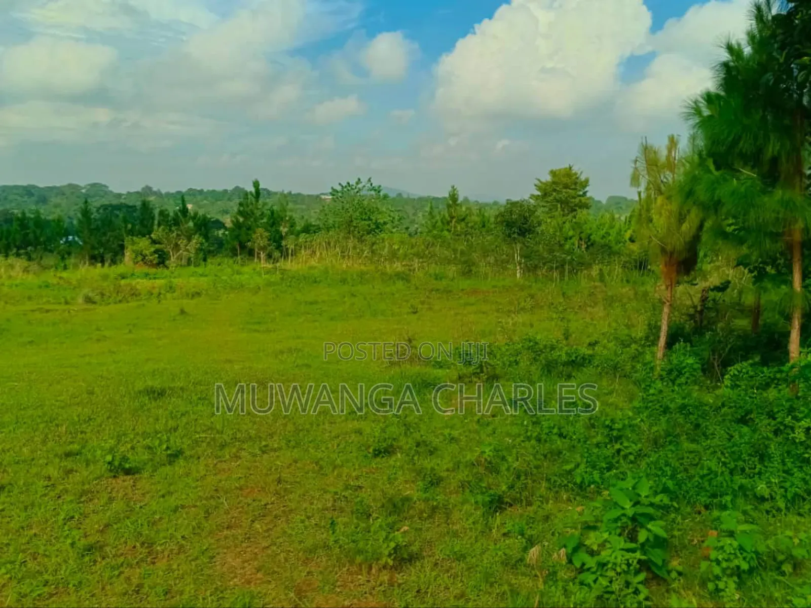 4acres for Sale in Mukono Katosi Road in Mukono TC