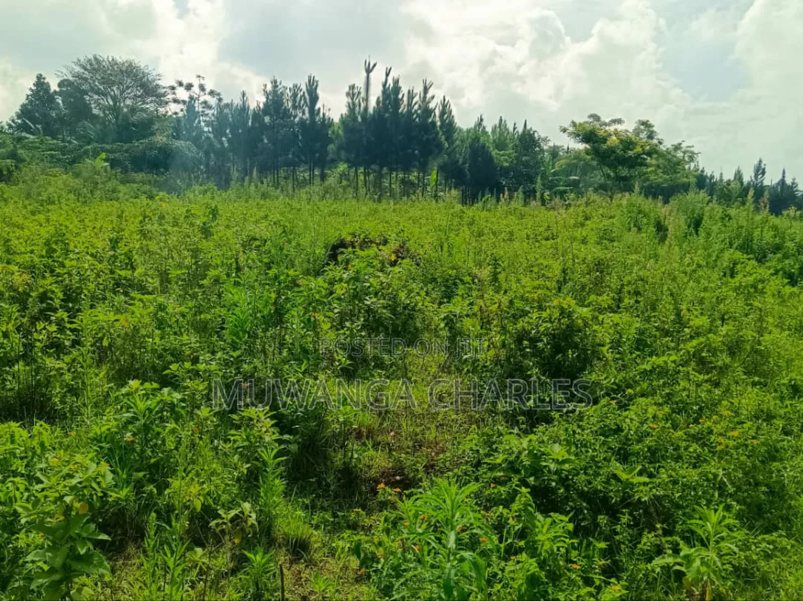 4acres for Sale in Mukono Katosi Road in Mukono TC