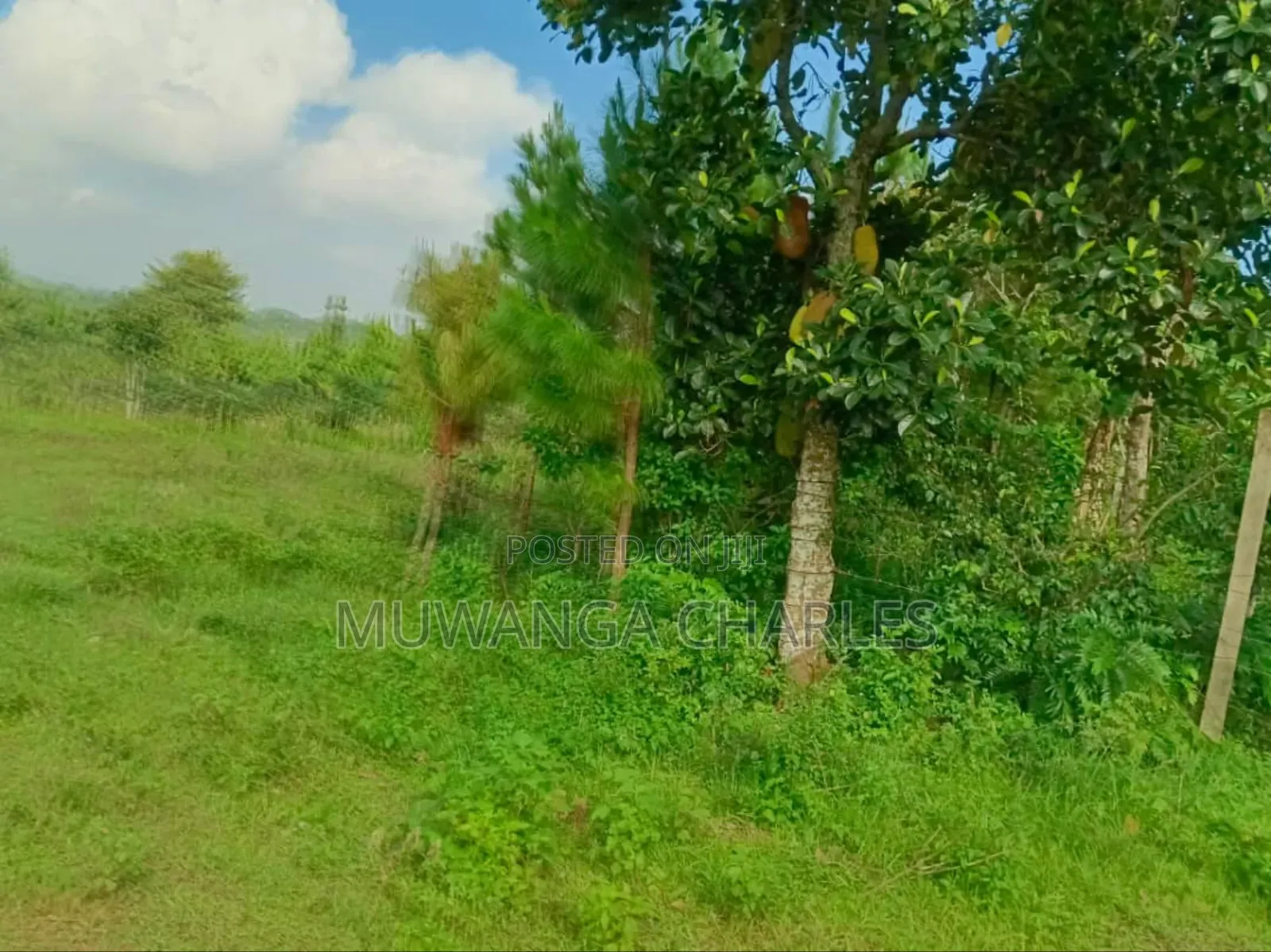4acres for Sale in Mukono Katosi Road in Mukono TC