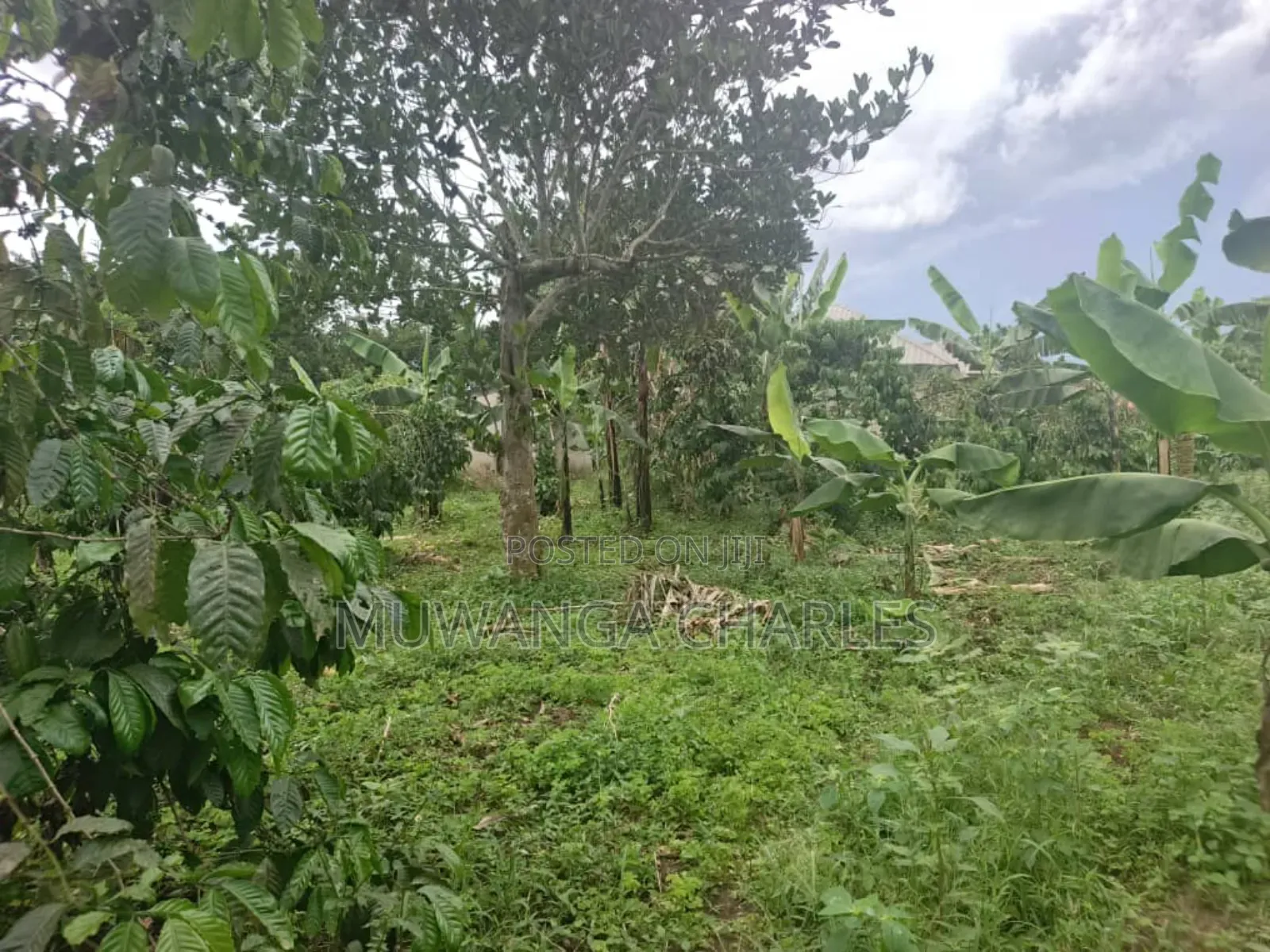 Land for Sale in Wabutungulu in Zirobwe