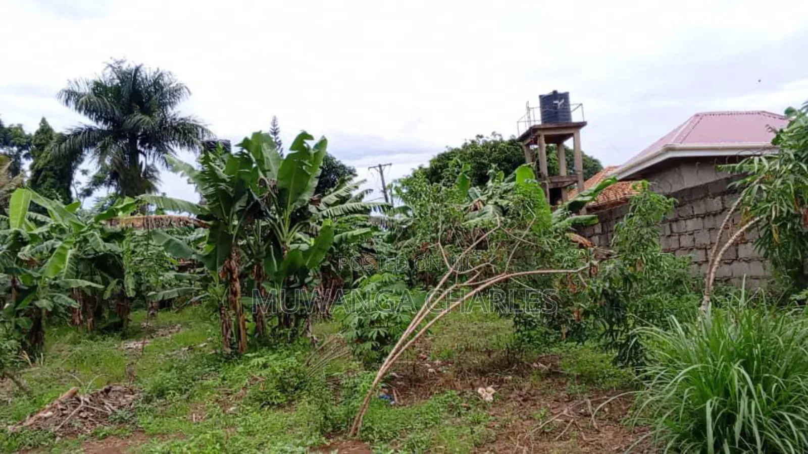 Land for Sale in Wabutungulu in Zirobwe