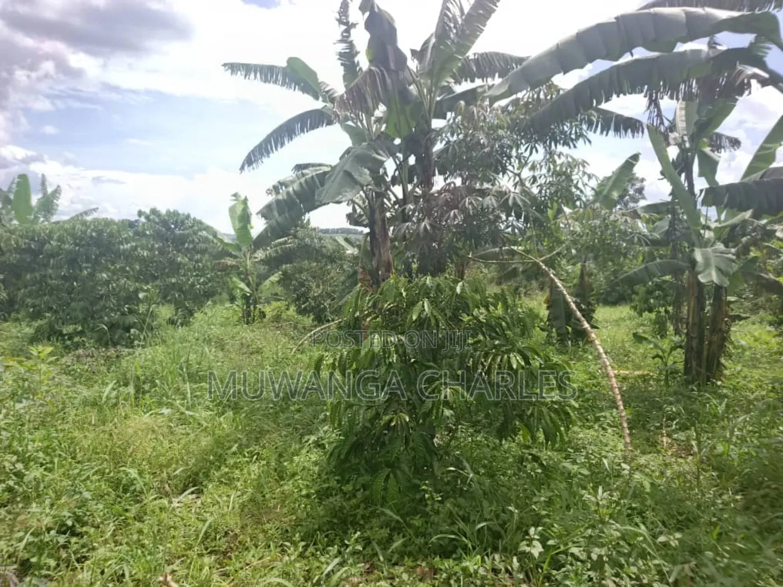 Land for Sale in Wabutungulu in Zirobwe