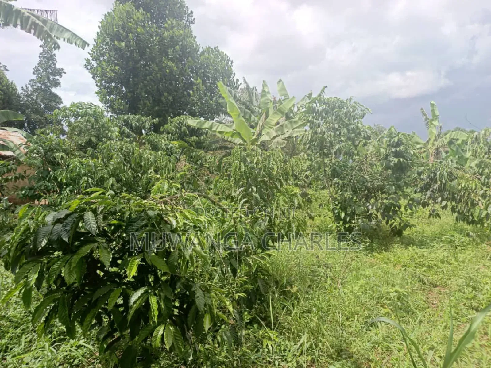 Land for Sale in Wabutungulu in Zirobwe