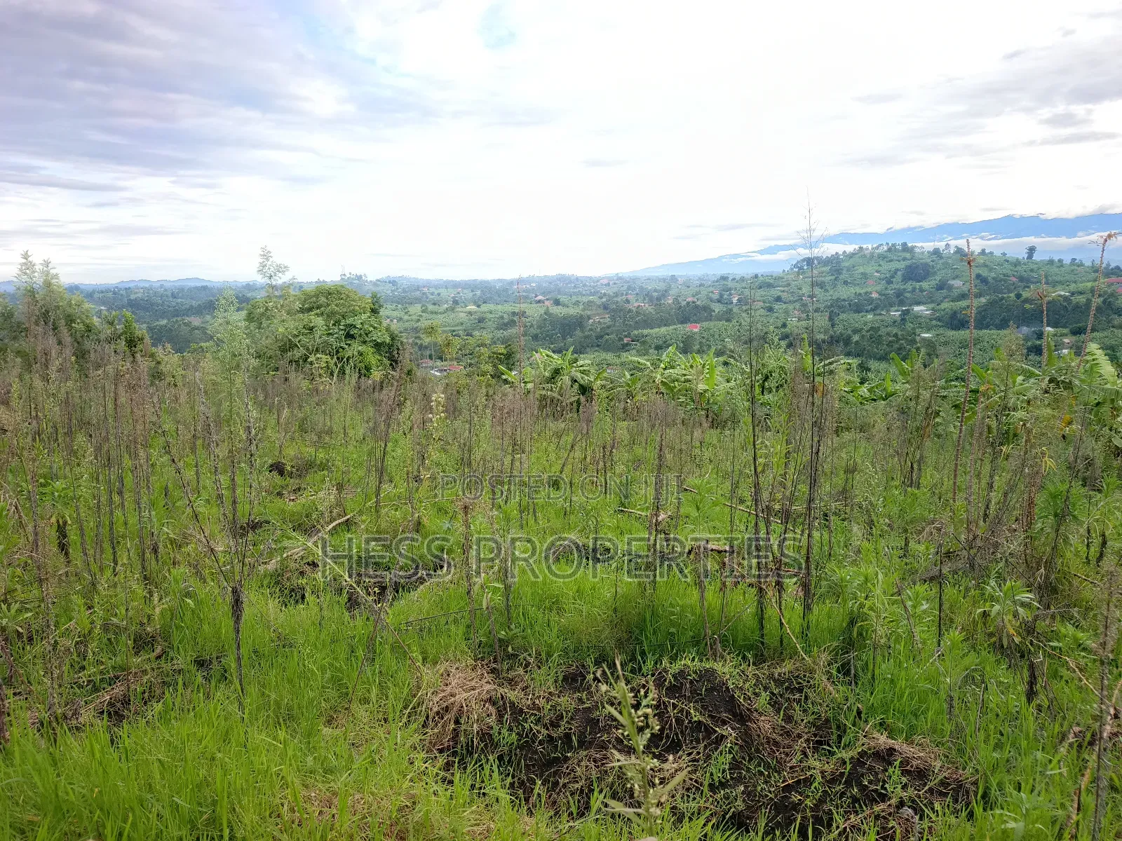 Residential Land on Sale Located in Kicuna-Rwengaju in Kabalore