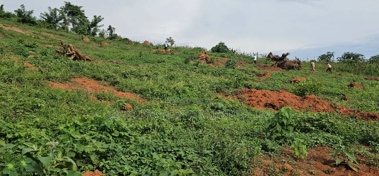 Titled Plots for Sale at Wakiso - Namayumba in Namayumba