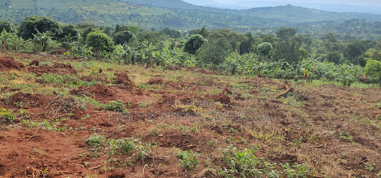 Titled Plots for Sale at Wakiso - Namayumba in Namayumba