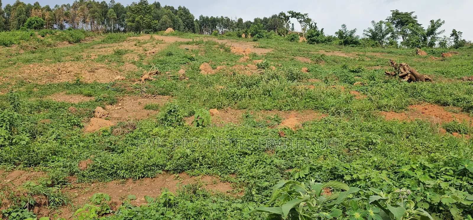Titled Plots for Sale at Wakiso - Namayumba in Namayumba