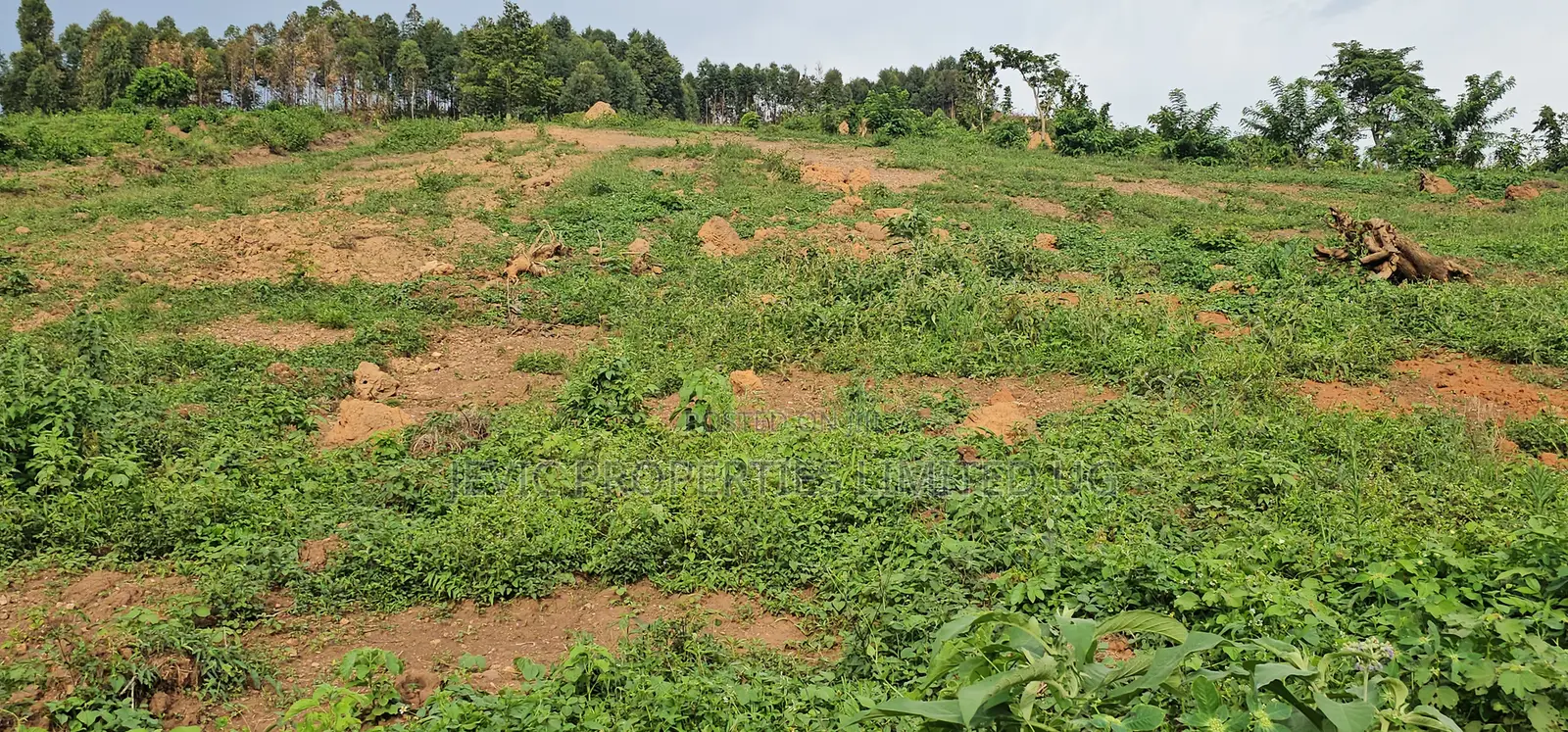 Titled Plots for Sale at Wakiso - Namayumba in Namayumba