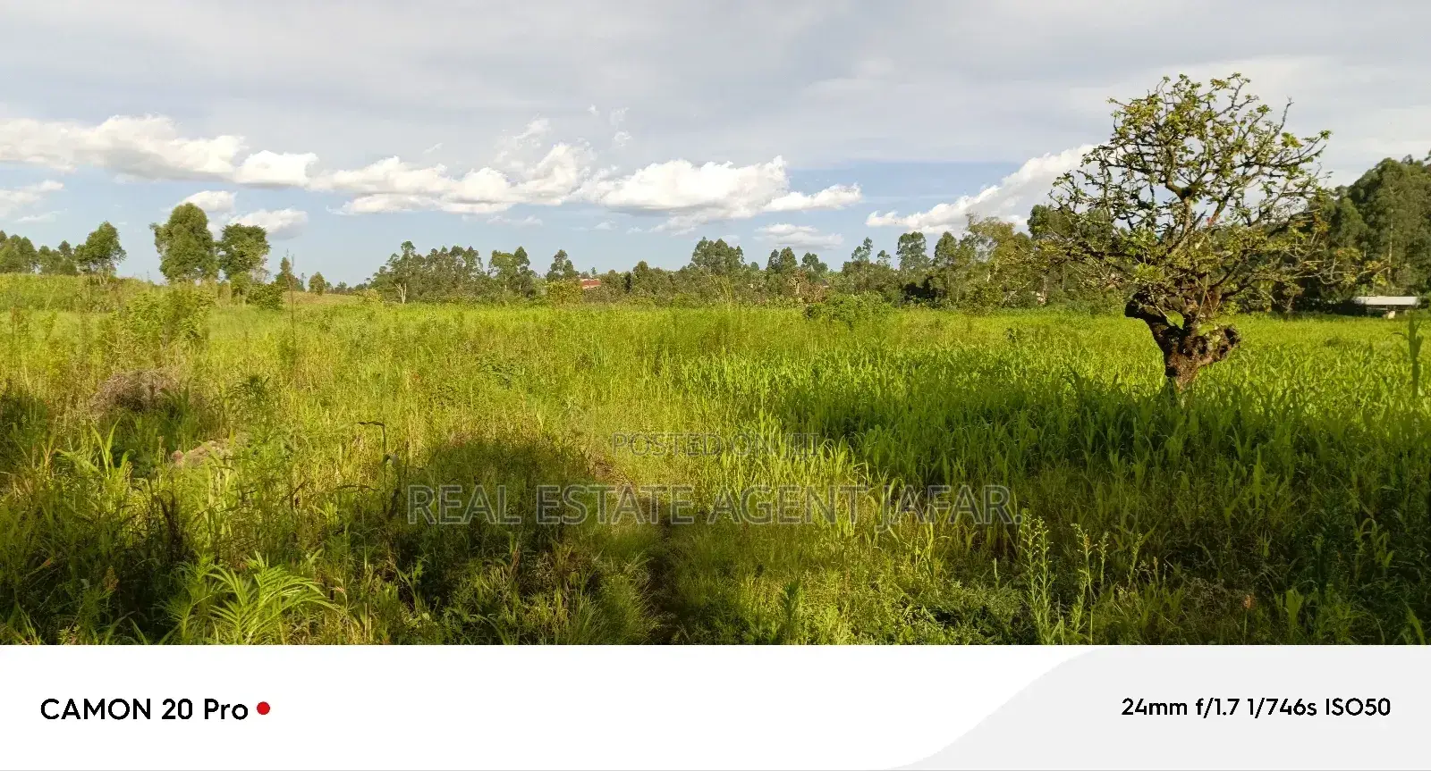 25 Acres of Land for Sale in Fort Portal. in Kabalore